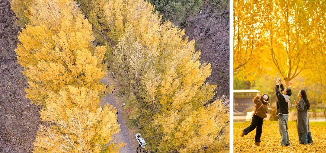 播电视报》2025年第46期PG麻将胡了电子版 《山西广