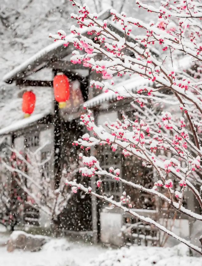 、身体炸划算还有节日限定香薰、香包麻将胡了网址香香好物丨欧珑正装香水(图25)